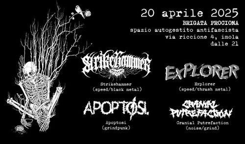 Concerto pasquale metal-hc