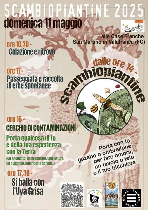 Scambiopiantine