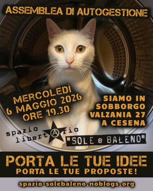 Assemblea Sole e Baleno