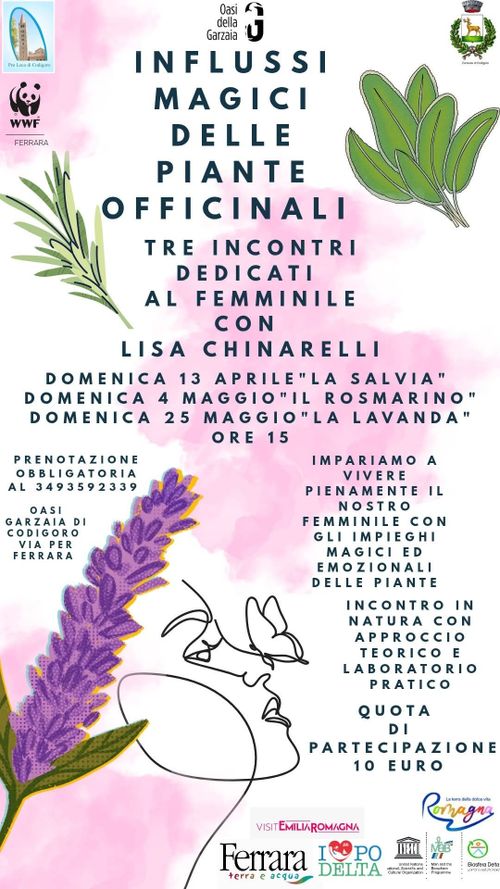 Influssi magici delle piante officinali